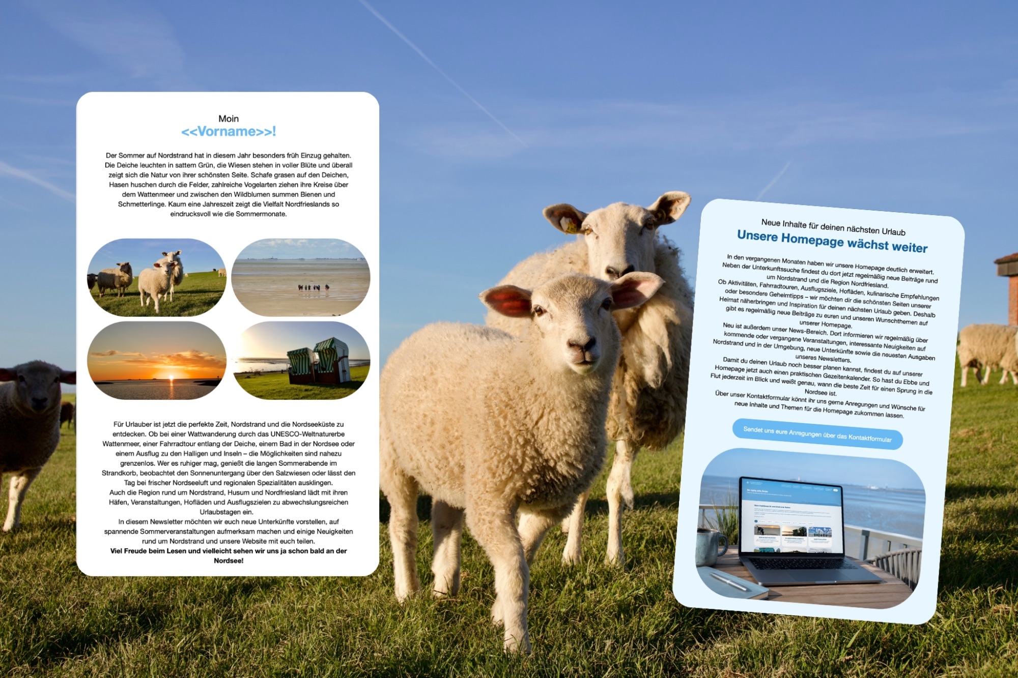 Newsletter/Sommernewsletter